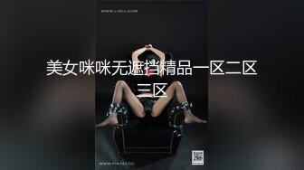 美女咪咪无遮挡精品一区二区三区