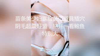 云上会所KTV之偷拍女厕所YSHS 13