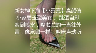 商场女厕全景偷拍长裙高跟美女的小肥鲍