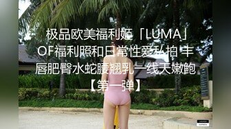 国产AV 天美传媒 TM0099 情侣出游 互换女友 陈以萱