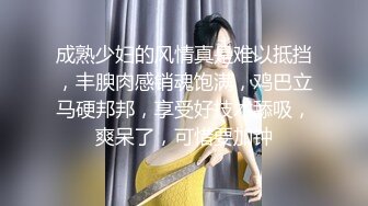 大号肛塞扩张狗笼插穴自慰二次元萝莉母狗性奴【一台绞肉机】推特调教日常66P+ 1V