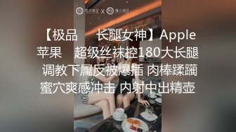 星空无限传媒 XKTC010 女业主的秘密