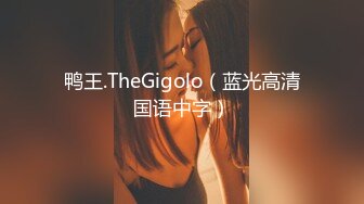 鸭王.TheGigolo（蓝光高清国语中字）