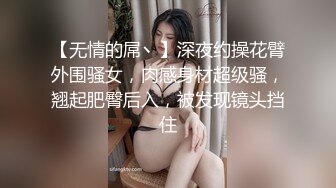 桃暖酱2月写真图包 旗袍白月光