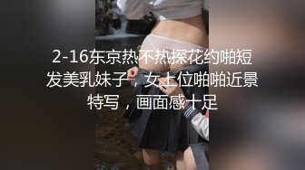 麻豆传媒 MCY-0013新婚不久妻子换着玩-南芊允 沈娜娜