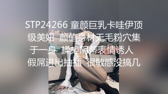 极品少妇与维修工的日常