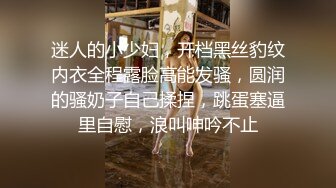 迷人的小少妇，开档黑丝豹纹内衣全程露脸高能发骚，圆润的骚奶子自己揉捏，跳蛋塞逼里自慰，浪叫呻吟不止