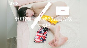 《极品反差_淫妻泄密》推特火爆淫荡翘臀骚母狗【芬姬夏妓】不雅私拍全集，公园露出调教野战潮喷大号道具紫薇淫水泛滥 (4)