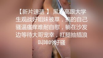 微胖大奶丰满胖母狗