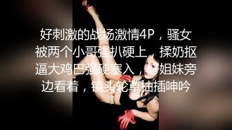 我的贴身女仆-神谷怜 VIP0600