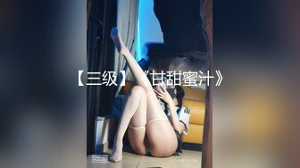 私人订制 性感女神 杨晨晨 性感情趣制服诱惑 丰腴身材 女神姿态摄人心魄