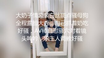 【AI换脸视频】杨幂 婚礼前一天的最后激战