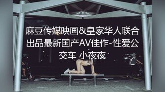 麻豆传媒映画&皇家华人联合出品最新国产AV佳作-性爱公交车 小夜夜