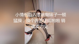 小母狗第一次被塞着肛塞后入