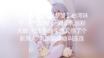 国产博主LonlyMeow（长相身材影片质量一流）高码4K资源合集无水印【39V】 (1)