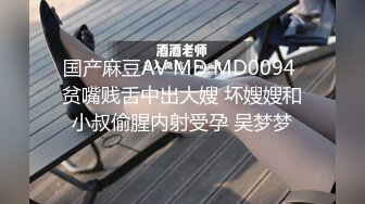 国产麻豆AV MD MD0094 贫嘴贱舌中出大嫂 坏嫂嫂和小叔偷腥内射受孕 吴梦梦