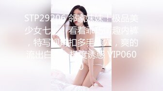 MSD-003.袁子仪.菜鸟特务.入侵者的反奸凌辱.麻豆传媒映画