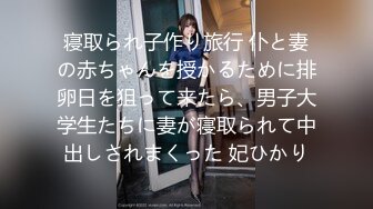 カリビアンコム 022418-610 タイムファックバンディット 時間よ止まれ ～配達編～ - 和登こころ