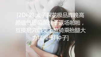 寻花偷拍系列-男主约了个高颜值大奶美女啪啪…