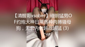 【清醒哥xsober】硬朗猛男OF约炮大神日常各种肉搏骚母狗，无套内射越战越猛 (3)