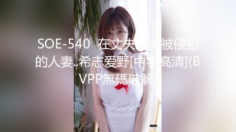 SOE-540  在丈夫面前被侵犯的人妻..希志爱野[中字高清](BVPP無碼破解)