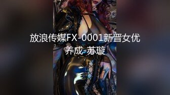 放浪传媒FX-0001新晋女优养成-苏璇