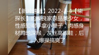 【新片速遞】2022-3-4【柒探长】约操良家极品美少女，性感短裙手拿小鞭子，肉感身材蹲地深喉，灰丝高跟鞋，后入爆操搞爽了