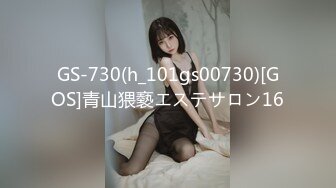 GS-730(h_101gs00730)[GOS]青山猥褻エステサロン16