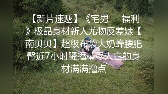 太完美了 满足幻想 Cycllops 23.4.8-AI图集 真特么是极品炮架子啊！