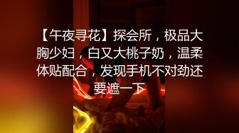 五星推荐高颜值爆乳SOLO玩家NatashaNixx合集HEVC压制第二弹【24V】 (5)