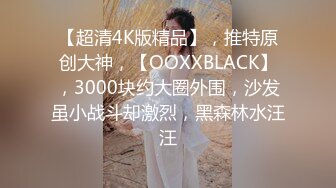 【超清4K版精品】，推特原创大神，【OOXXBLACK】，3000块约大圈外围，沙发虽小战斗却激烈，黑森林水汪汪