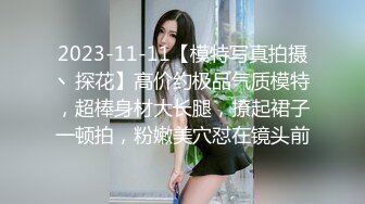 2023-11-11【模特写真拍摄丶探花】高价约极品气质模特，超棒身材大长腿，撩起裙子一顿拍，粉嫩美穴怼在镜头前