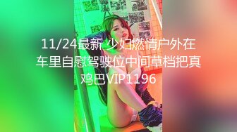 11/24最新 少妇燃情户外在车里自慰驾驶位中间草档把真鸡巴VIP1196