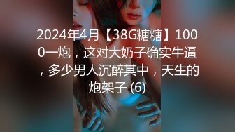 商场女厕偷拍 牛仔裤美女阴毛杂乱的小肥B