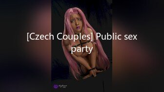 [Czech Couples] Public sexparty